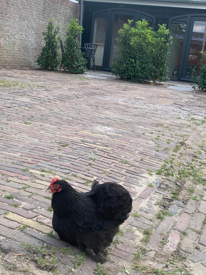 Apartamento Het Dijkje Utrecht Exterior foto